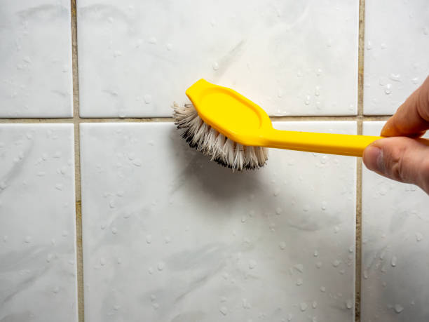 Best Emergency Mold Removal  in North Braddock, PA